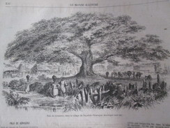 Gravure 1867 Nicaragua   PLAO DE  GENISERO  NAGAROTE Arbre Centenaire Tree Old - Nicaragua
