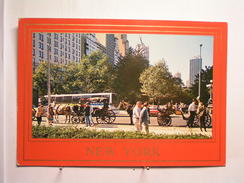 New York City - Carriages At Central Park - Central Park