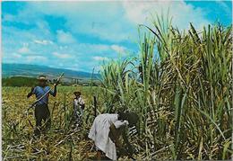 CPSM CPM  10 X 15 Ile De La Réunion Circulé Sogepro 568 Métier - Sonstige & Ohne Zuordnung