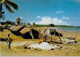 CPSM CPM  10 X 15 COMORES Non Circulé Moheli - Comorre