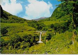 CPSM CPM  10 X 15  Comores Non Circulé Anjouan Tatinga - Comorre