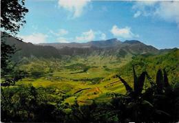 CPSM CPM  10 X 15  Comores Non Circulé Anjouan Dziani - Comorre