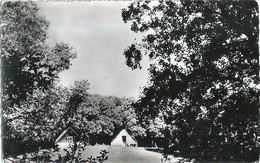 AIN KHERZOUZA - Camp De La Jeunesse Et Des Sports - Meknès