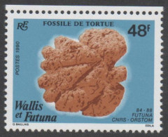 WALLIS Et FUTUNA - Fossile De Tortue - Archéologie - - Ungebraucht