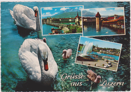 SUISSE,SWISS,SWITZERLAND, SCHWEIZ,SVIZZERA,LUZERN,LUCERN, - Lucerne