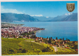 SUISSE ROMANDE,HELVETIA,SWISS,SCHWEIZ,SVIZZERA,SWITZERLAND,VAUD,VEVEY,AGRICULTURE - Vevey