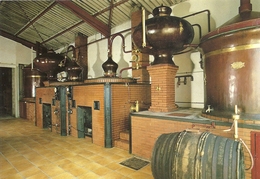 17  SAINT  PIERRE D  OLERON  DISTILLERIE  FAVRE  ET  FILS   TL  46 47 05 43 - Saint-Pierre-d'Oleron