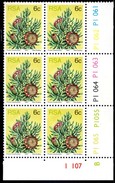 South Africa - 1977 Proteas 6c Control Block Pane B (**) - Blocks & Sheetlets