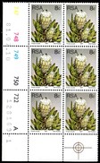 South Africa - 1981 Proteas 8c Control Block Perf 14 Pane A (**) (1981.07.10) - Blocks & Sheetlets