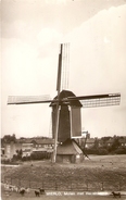 Mierlo : Molen Met Hertenkamp - Geldrop