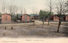 40 MORCENX LES CHALETS ET LA GARE ANIMEE COLORISEE CARTE PRECURSEUR - Morcenx