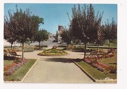 Delcampe - ( 82 ) CASTELSARRASIN Le Jardin Du Gravil Et L'avenue De Gascogne - Castelsarrasin