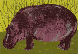 Postcard - Animal Box - Art - Alice Pattulo - Hippo (2014) - New - Ippopotami