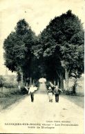 N°42194 -cpa Bazoches Sur Hoene -les Promenades Route De Mortagne- - Bazoches Sur Hoene