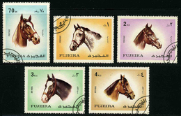 FUJEIRA - CHEVAUX - YT 137 + PA 80 - SERIE COMPLETE DE 5 TIMBRES OBLITERES - Paarden