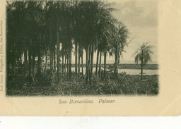 CPA (  Paraguay ), San Bernardino Palmar - Paraguay