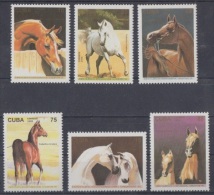 1995.30- * CUBA 1995. MNH. CABALLOS DE RAZA. HORSE. - Ongebruikt