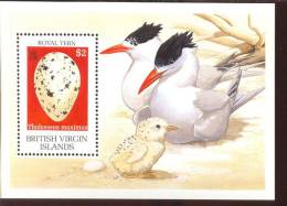 MINT NEVER HINGED SOUVENIR SHEET OF BIRDS   (  BR.VIRGIN ISLAND   666 - Non Classificati