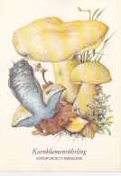 56424- MUSHROOMS - Champignons