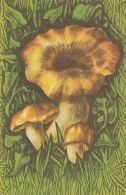 56454- MUSHROOMS - Mushrooms