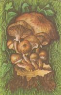 56459- MUSHROOMS - Mushrooms