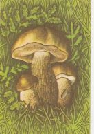 56464- MUSHROOMS - Mushrooms