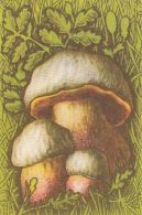 56466- MUSHROOMS - Mushrooms