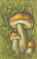 56469- MUSHROOMS - Mushrooms