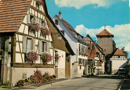 Dép 67 - Dambach La Ville - Vieilles Maisons Fleuries - état - Dambach-la-ville