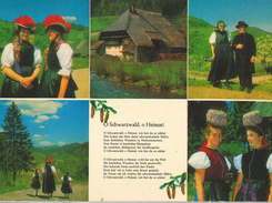 Schwarzwald Heimat Tracht - Gutach (Schwarzwaldbahn)