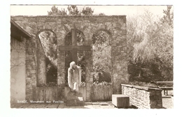 BANDE  ---  Monument Aux Fusillés - Nassogne