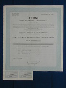 Certificato Azionario "TERNI- Società Per L'industria E  L'elettricità" 1966 - Electricité & Gaz