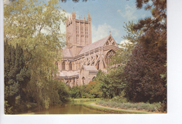 S3080 Postcard: England, Somerset > Wells Cathedral _ NOT WRITED _ Ed Dixon - Wells