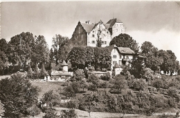 1-SCHLOSS WILDEGG - Wildegg