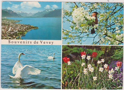 SCHWEIZ,SVIZZERA, HELVETIA,SWISS,SWITZERLAND,VAUD,RIVIERA PAYS D´ENHAUT, VEVEY - Vevey