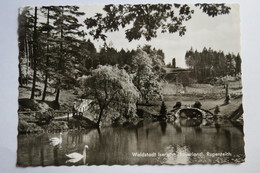 (9/4/13) AK "Waldstadt Iserlohn" Im Sauerland, Rupenteich - Iserlohn