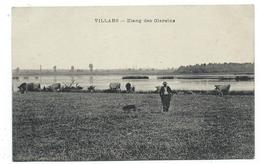 CPA - VILLARS, ETANG DES GLAREINS - Ain 01 - Animée, Vaches - Villars-les-Dombes