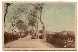 81 - Tarn / VALENCE -- Avenue D'Albi. - Valence D'Albigeois