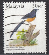 1027 Malesia 2005 Uccelli Birds Copsychus Malabaricus Passeri Shama Groppabianca Used - Passeri