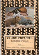 Grand Dépliant ( 90/60 Cm)(  KANiNCHENRASSEN ) 24 Farbige Rassenbilder .2 Scans - Animales