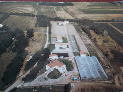 17 - ILE D'OLÉRON - SAINT-PIERRE D'OLÉRON - Exploitation Horticole "La Croix Fleurie Des Landes". - Saint-Pierre-d'Oleron