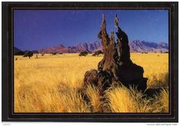 NAMIBIA - Namib Desert During The Dry Season - Photograph: Johan Steyn (2 Scans) - Namibia