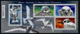 T.A.A.F. // F.S.A.T. 2017 - Faune Oiseaux, Stern - BF Neufs // Mnh - Unused Stamps