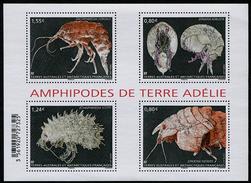 T.A.A.F. // F.S.A.T. 2017 - Faune, Amphipodes - BF Neufs // Mnh - Neufs