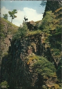 Forêt-Noire - Le "Saut Du Cerf" - Schwarzwald "Der Hirschsprung - Tampon "Poste Aux Arméees" Et Timbre Français, 1965 - Höllental