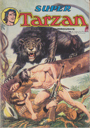 C1 Rice BURROUGHS Super TARZAN 1ere Serie # 34 1978 SAGEDITION  Port INCLUS France Metropolitaine - Tarzan