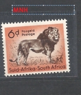 SUDAFRICA     1954 Local Animals   Panthera Leo    MNH - Unused Stamps