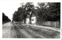 * T2/T3 Cerna, Hauptgasse / Main Street, Donauschwäbischer Bildverlag, Modern Postcard (EK) - Unclassified