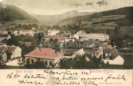 T4 Trencsénteplic, Trencianske Teplice; Villa Maria, Szold Henrik Kiadása / Panorama View With Villas... - Ohne Zuordnung