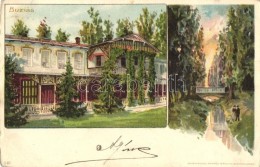 * T3 1899 BuziásfürdÅ‘, Buzias; Villa / Villa, Spa, Kunstanstalt Kosmos No. 146. Litho (Rb) - Non Classificati